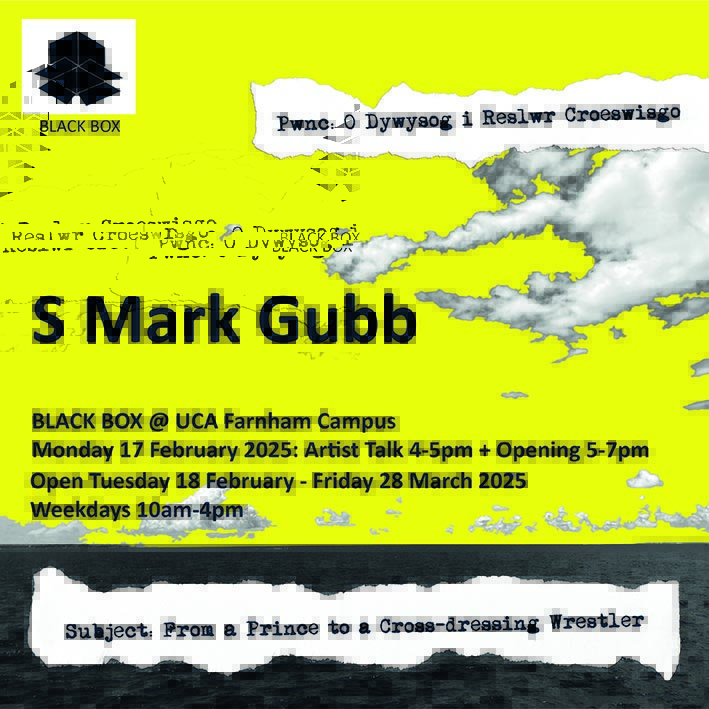 S Mark Gubb Black Box Poster